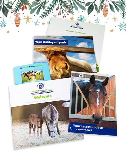 Sponsor a stableyard welcome pack literature