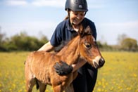 staff member establishing trust in a foal