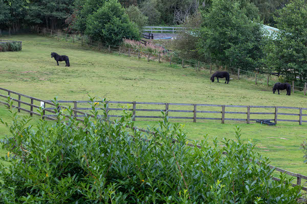 a series of paddocks with horses