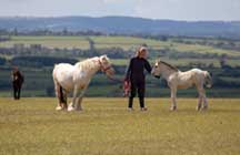 Glenda Spooner Farm