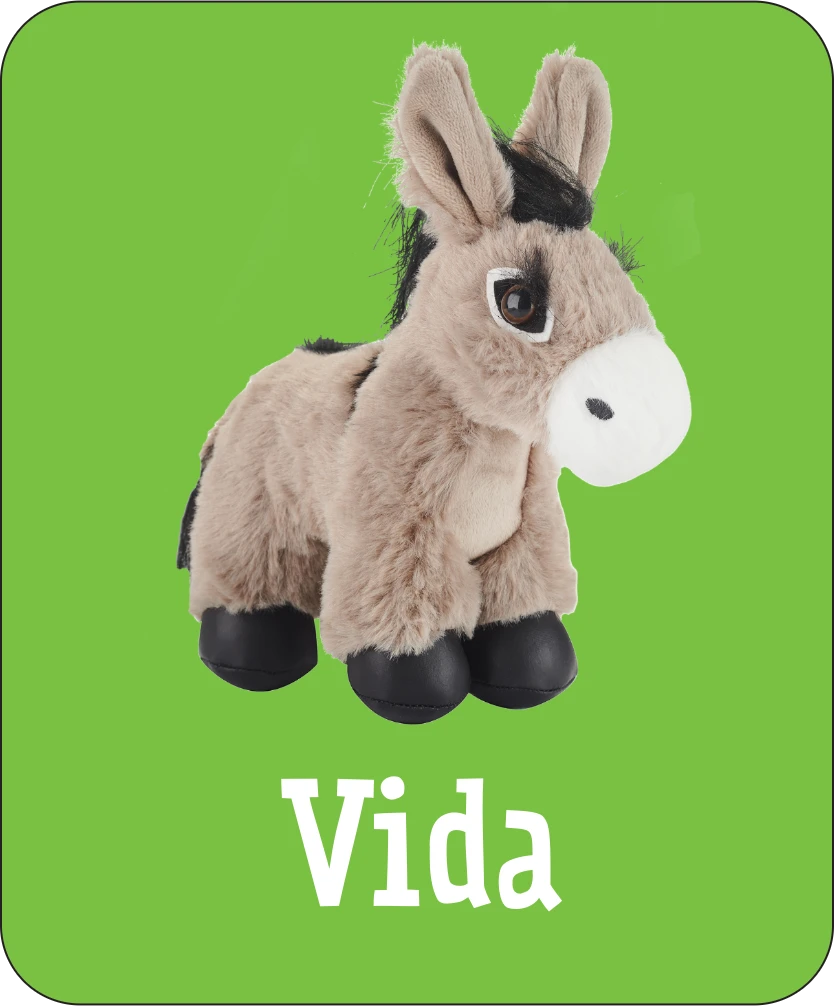 Photograph of cuddly donkey mascot Vida